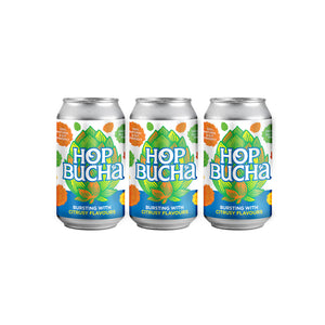 Hopbucha 12 x 330ml Cans